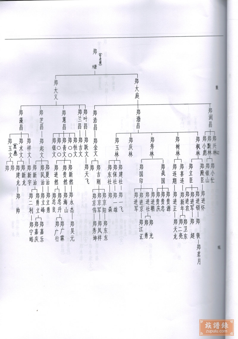 康家峪村郑氏家谱