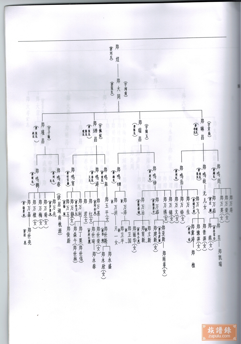 康家峪村郑氏家谱